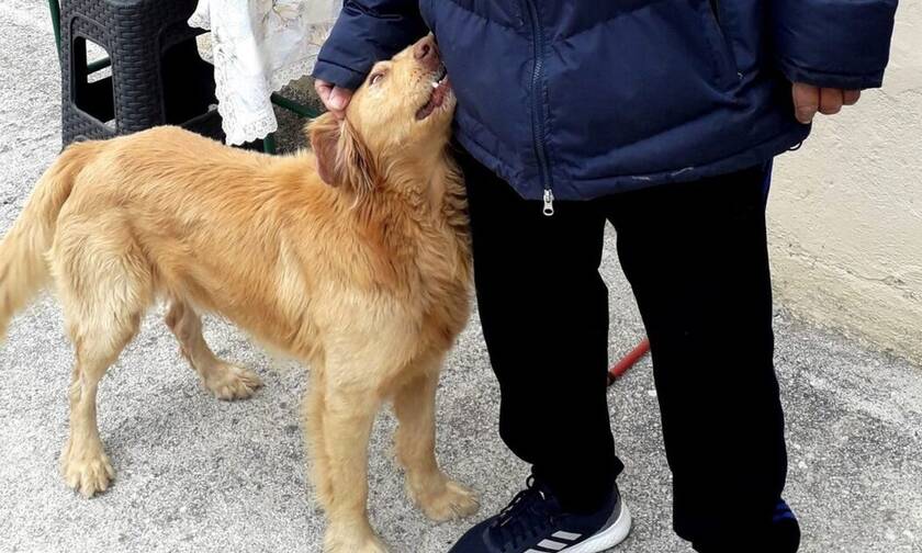 Σεισμός στην Ελασσόνα: Σκύλος φύλακας – άγγελος προειδοποίησε τους ιδιοκτήτες του