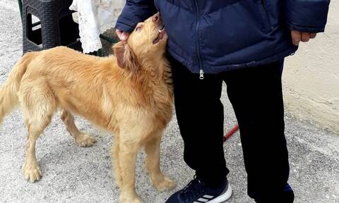 Σεισμός στην Ελασσόνα: Σκύλος φύλακας – άγγελος προειδοποίησε τους ιδιοκτήτες του