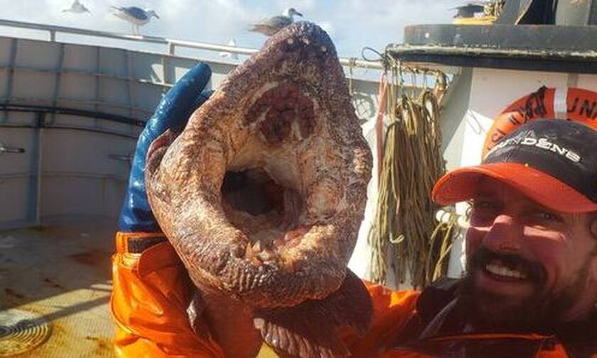 Απίστευτο: Ψαράδες έβγαλαν «τέρας» από το βυθό - Σκοτώνει με ένα δάγκωμα