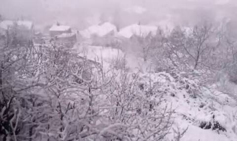 Καιρός ΤΩΡΑ: Χιονίζει στον Παρνασσό – Δείτε LIVE εικόνα