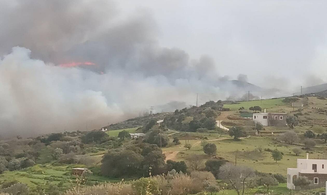 Φωτιά Άνδρος: Κάηκαν περισσότερα από 10.000 στρέμματα - Σε ...