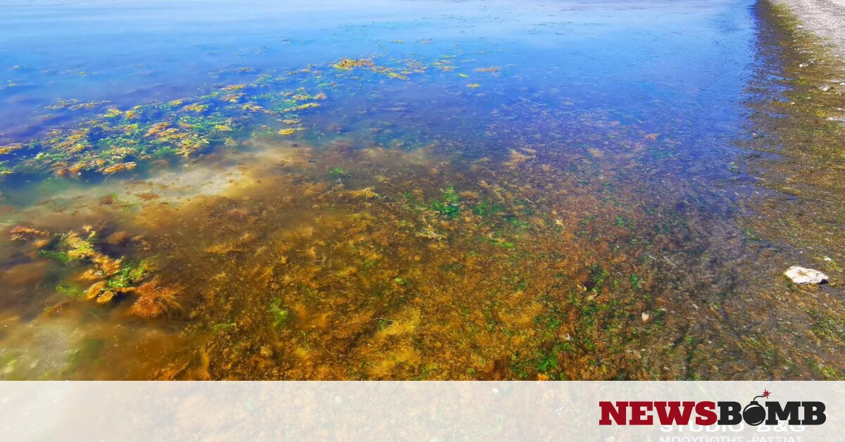 Αργολίδα: Παραλία βάφτηκε κόκκινη – Απίστευτες εικόνες (pics) – Newsbomb – Ειδησεις