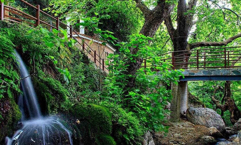 Εύβοια: Δείτε πού βρίσκεται το χωριό «θαύμα»  – Ένας μικρός καταπράσινος «παράδεισος»
