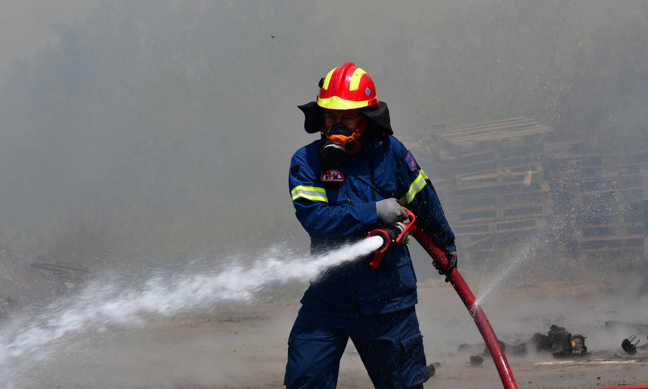 Φωτιά Ηλεία: Οριοθετήθηκε η πυρκαγιά στην περιοχή Σμέρνα