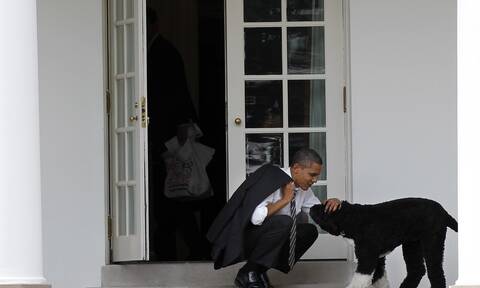 Ομπάμα: Πέθανε ο «Μπο», ο σκύλος...σταρ του Λευκού Οίκου - Το συγκινητικό αντίο της οικογένειας