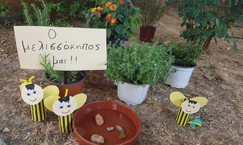 Οι αστικοί μελισσόκηποι της Αθήνας - Ρεπορτάζ του Newsbomb.gr για τη δράση «Bee&BE»