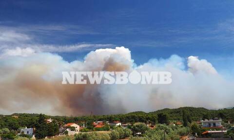 Φωτιά ΤΩΡΑ: Εκκενώνεται το Αλεποχώρι – Η πυρκαγιά πλησιάζει το χωριό