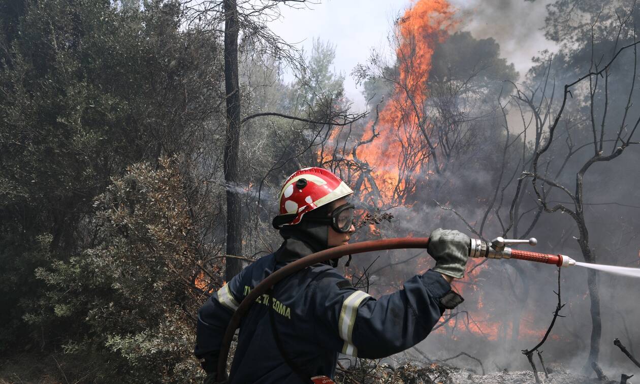 Φωτιά ΤΩΡΑ: Βίντεο ντοκουμέντο από το Αλεποχώρι – Καίγονται σπίτια, δραματικές στιγμές - Newsbomb - Ειδησεις - News