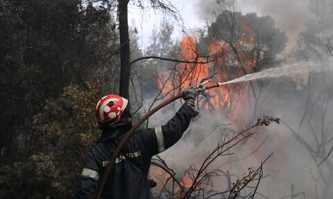 Εκτός ελέγχου η φωτιά στην Κοκκιναρέα - Υποχωρούν οι πυροσβεστικές δυνάμεις