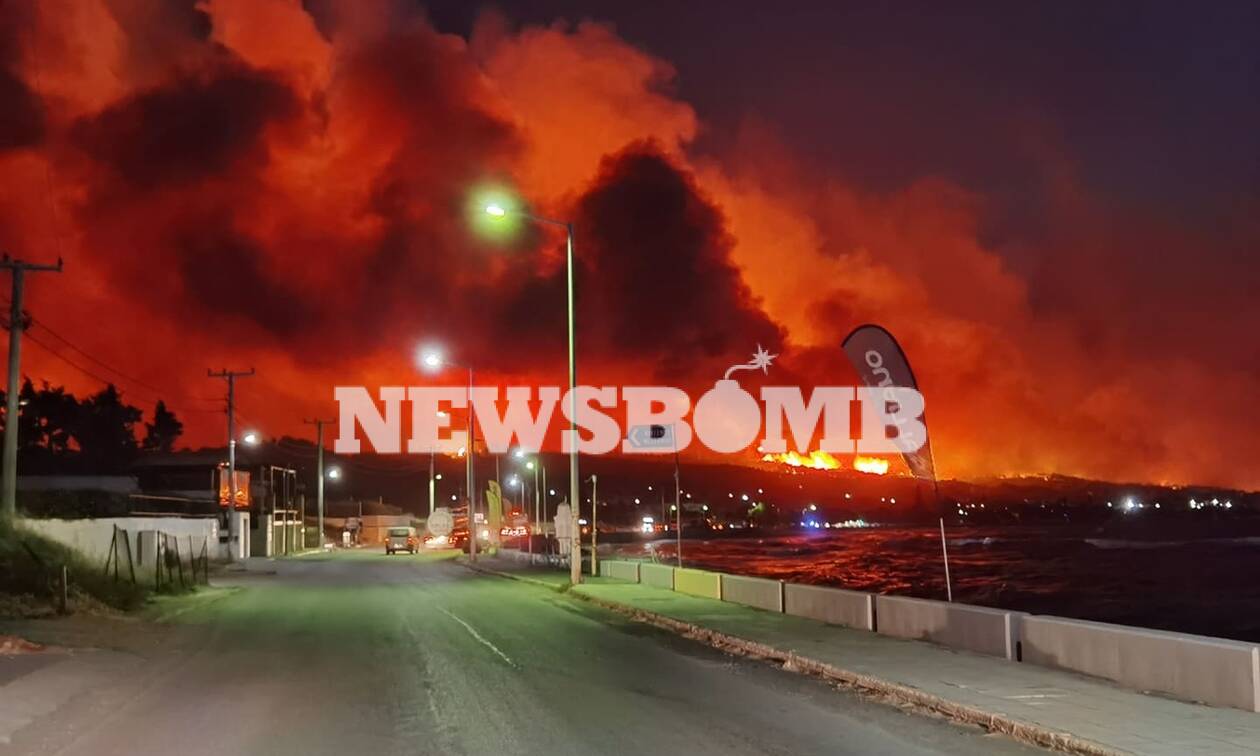 Φωτιά Κορινθία: Η Πρόεδρος της ΑΝΙΜΑ Μαρία Γανώτη στο Newsbomb.gr - Πολλά μικρά ζώα θα καούν ζωντανά