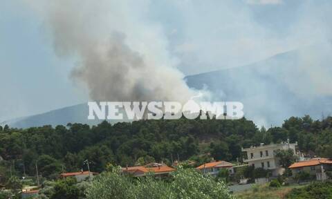 Φωτιά ΤΩΡΑ: Εφιάλτης δίχως τέλος! Νέα αναζωπύρωση και στην Χαλκανή