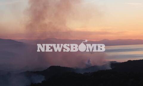 Φωτιά στα Γεράνεια Όρη: Κρανίου τόπος μετά την πύρινη λαίλαπα - Βίντεο drone δείχνει την καταστροφή