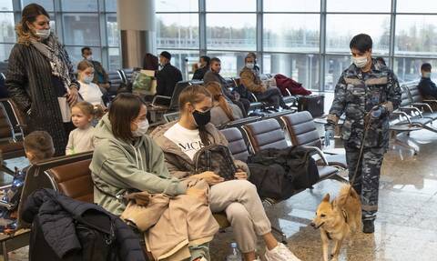 Κορονοϊός: Εκπαιδευμένοι σκύλοι αντί…καραντίνας; Τι δείχνει νέα ελπιδοφόρα γαλλική μελέτη