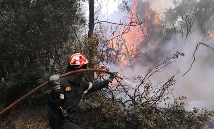Φωτιά ΤΩΡΑ στην Κερατέα - Δήμαρχος Λαυρεωτικής στο Newsbomb.gr: Το μέτωπο είναι πάνω από σπίτια