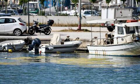 Πρέβεζα: Απόκοσμες εικόνες - «Πράσινη παλίρροια» από φύκια έπνιξε το λιμάνι (pics)