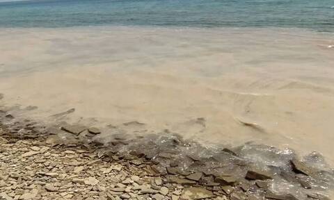Λήμνος: Στις παραλίες του νησιού η βλέννα που προκάλεσε συναγερμό στην Τουρκία