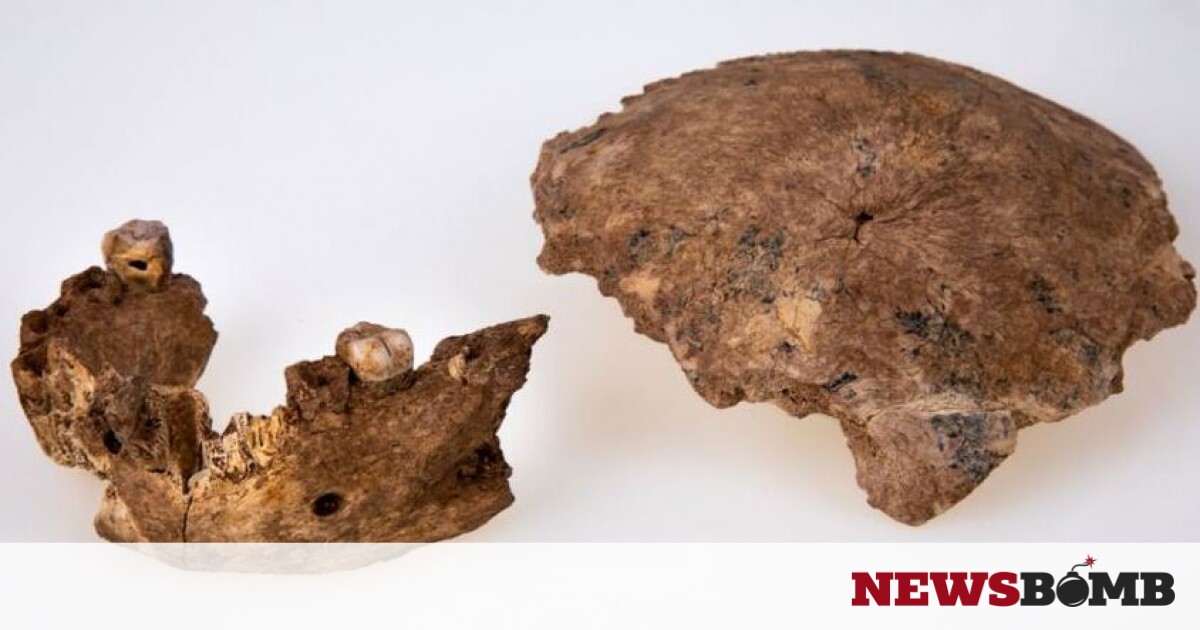 Ισραήλ: Ανακαλύφθηκε νέος τύπος αρχαίου ανθρώπου – Αλλάζει η ιστορία της ανθρώπινης εξέλιξης; – Newsbomb – Ειδησεις