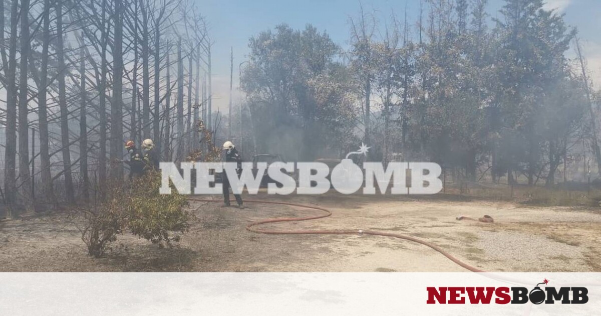 Φωτιά στη Νέα Κηφισιά: Λαχτάρησαν οι κάτοικοι της περιοχής – Κάηκαν δύο αυτοκίνητα – Newsbomb – Ειδησεις