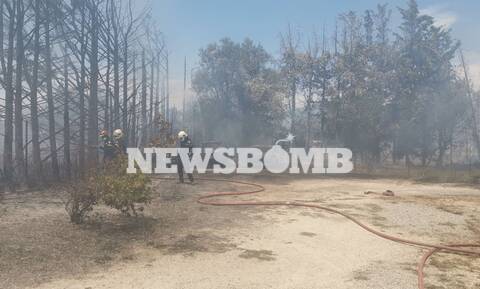 Φωτιά στη Νέα Κηφισιά: Λαχτάρησαν οι κάτοικοι της περιοχής – Κάηκαν δύο αυτοκίνητα