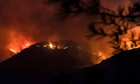 На Кипре в результат пожара погибло 4 человека