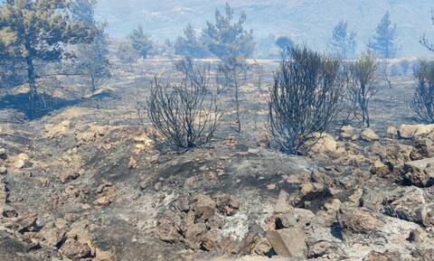 Φωτιά στη Χίο: Έγιναν στάχτη 1.100 στρέμματα – Πώς αντιμετωπίστηκε σε λίγες ώρες