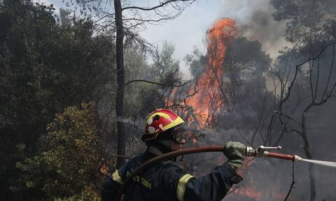 Φωτιά ΤΩΡΑ: Μάχη με τις φλόγες στο Πάτημα Ελευσίνας