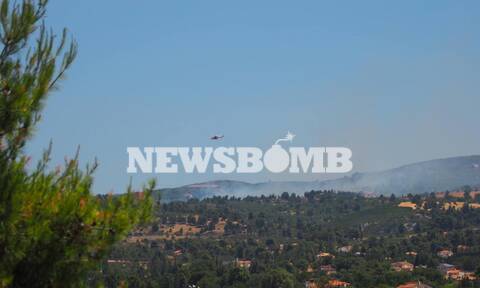Ρεπορτάζ Newsbomb.gr: Τεράστια μάχη με τη φωτιά στον Βαρνάβα - Κλειστοί δρόμοι και στην Ελευσίνα