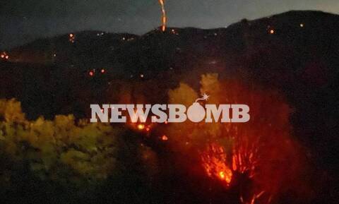 Φωτιά: Μάχη με 58 πυρκαγιές σε ένα 24ωρο - Υπό έλεγχο τα μέτωπα σε Στύρα Ευβοίας, Νικήτη Χαλιδικής