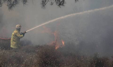 Φωτιά: Σε ύφεση η πυρκαγιά στο Λασίθι