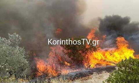 Φωτιά στο Καλέντζι Κορινθίας - Ενισχύθηκαν οι πυροσβεστικές δυνάμεις