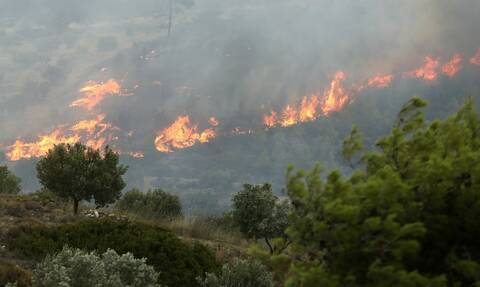Φωτιά ΤΩΡΑ: Μεγάλη πυρκαγιά στην Κορινθία - Έκτακτη προειδοποίηση από το 112