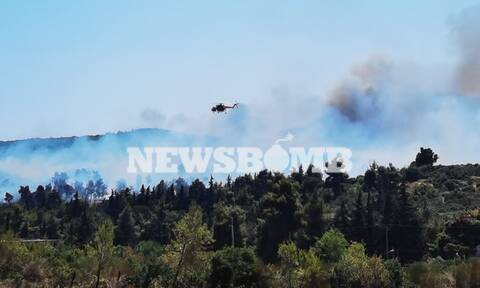 Φωτιά στη Σταμάτα: Δήμαρχος Διονύσου στο Newsbomb.gr - «Οι φλόγες γλείφουν τα πρώτα σπίτια»