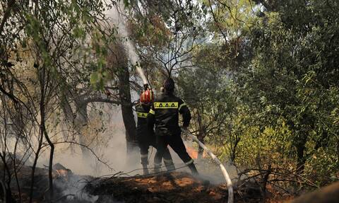 Φωτιά Σταμάτα - Πέτσας στο Νewsbomb.gr: Συνεργασία εθελοντών, πυροσβεστικής και αυτοδιοίκησης