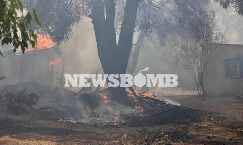 Χαρδαλιάς στο Newsbomb.gr για τη φωτιά στη Σταμάτα: Παλεύουμε σπίτι- σπίτι