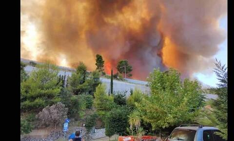 Φωτιά στην Αχαΐα - Ρεπορτάζ Newsbomb.gr: «Κάηκαν τουλάχιστον 20 με 30 σπίτια στη Ζήρια»