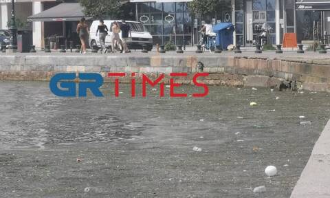 Θεσσαλονίκη: Θλιβερές εικόνες από τον Θερμαϊκό – Γέμισε με σκουπίδια και νεκρά πτηνά (vid)