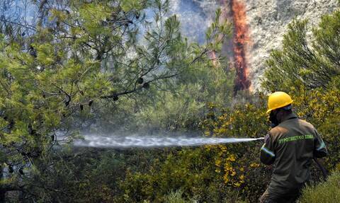 Φωτιά ΤΩΡΑ: Μεγάλη πυρκαγιά και στη Φωκίδα - Μήνυμα από το 112 για εκκένωση του χωριού Ελαία