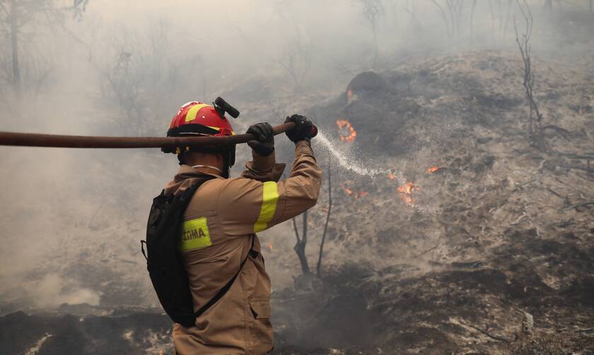 Φωτιά ΤΩΡΑ: Νέο πύρινο μέτωπο στην Ηλεία - Πυρκαγιά στη Ζαχάρω