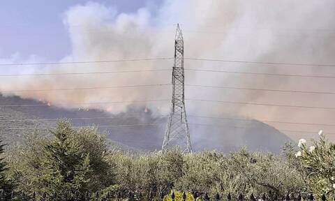 Φωτιά ΤΩΡΑ: Ανεξέλεγκτη η πυρκαγιά στην Φωκίδα - Καίγονται σπίτια, στα 6 χιλιόμετρα το μέτωπο