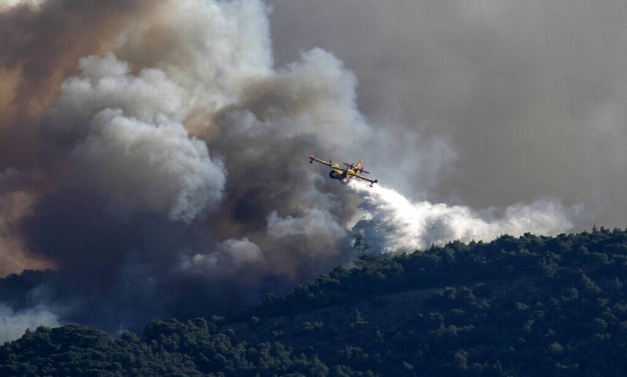 Φωτιές στην Ελλάδα: Αναλυτικά οι πυροσβεστικές δυνάμεις επιχειρούν σήμερα (7/8) στα πύρινα μέτωπα