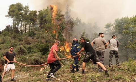 Φωτιά στην Εύβοια: Δραματική έκκληση για εναέρια μέσα – Συνεχίζει να καίει τα πάντα η πύρινη λαίλαπα