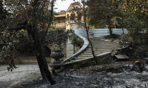 Τατόι: Αποκαρδιωτικές εικόνες μετά το πέρασμα της καταστροφικής φωτιάς