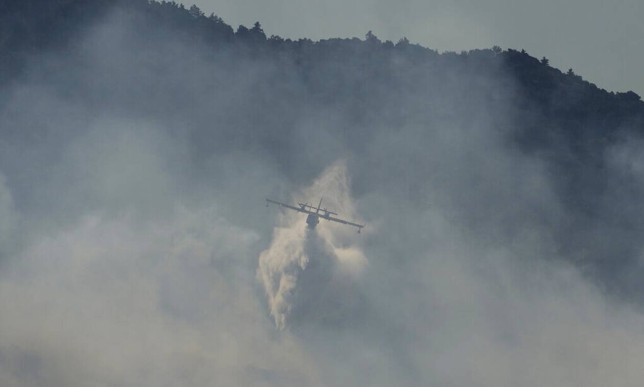 Φωτιά στη Λακωνία: Σε εξέλιξη η πυρκαγιά στην Ανατολική Μάνη - Μάχες με τις αναζωπυρώσεις