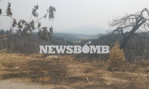 Οδοιπορικό Newsbomb.gr στη Βόρεια Εύβοια: Ο παράδεισος χάθηκε, η ελπίδα όχι