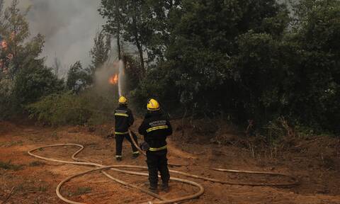 Φωτιά τώρα: Υπό μερικό έλεγχο η πυρκαγιά στην Τανάγρα