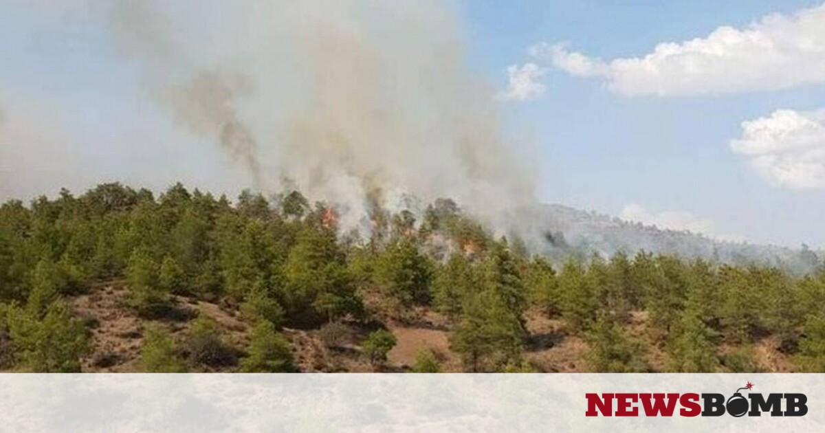 Πολύ υψηλός κίνδυνος πυρκαγιάς για τη Δευτέρα (16/8) – Ποιες είναι οι «πορτοκαλί» περιοχές – Newsbomb – Ειδησεις