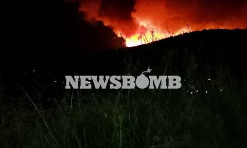 Ρεπορτάζ Newsbomb.gr: Παίρνει διαστάσεις η φωτιά στα Βίλια - «Μπλόκο» στον δρόμο για Πόρτο Γερμενό