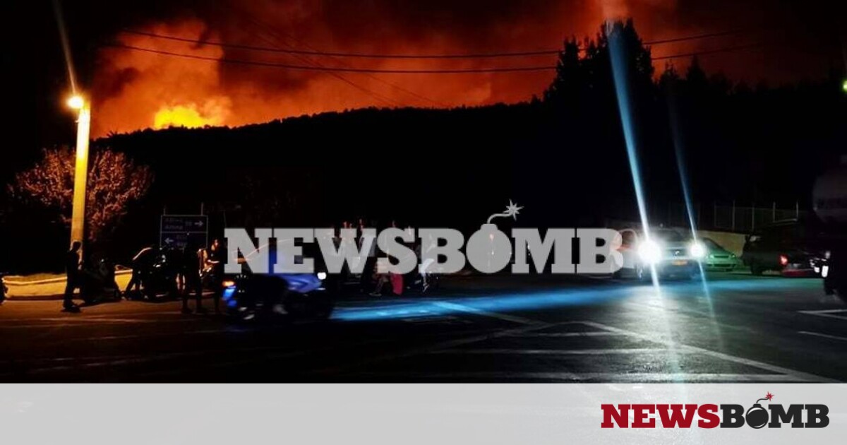 Φωτιά: Μαίνεται η πυρκαγιά στα Βίλια – Χωρίς ενεργό μέτωπο η φωτιά στην Κερατέα – Newsbomb – Ειδησεις