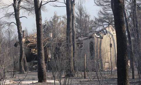 Οδοιπορικό Newsbomb.gr στα Βίλια: Η καμένη γη, οι Πολωνοί πυροσβέστες και οι εργασίες αποκατάστασης