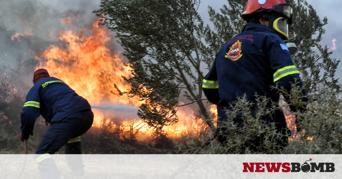 Φωτιά στα Βίλια: «Είναι εμπρησμός 100%», λέει στο Newsbomb.gr ο δήμαρχος Χρήστος Στάθης – Newsbomb – Ειδησεις